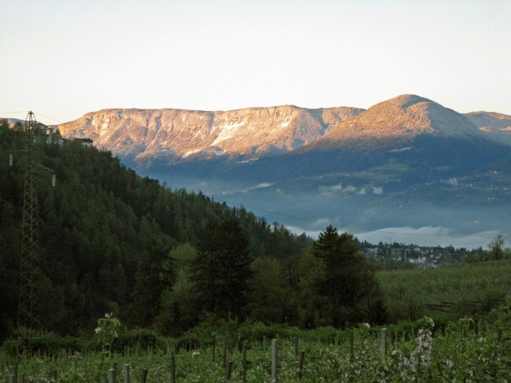 Pension Thalerhof Rifiano Exterior photo
