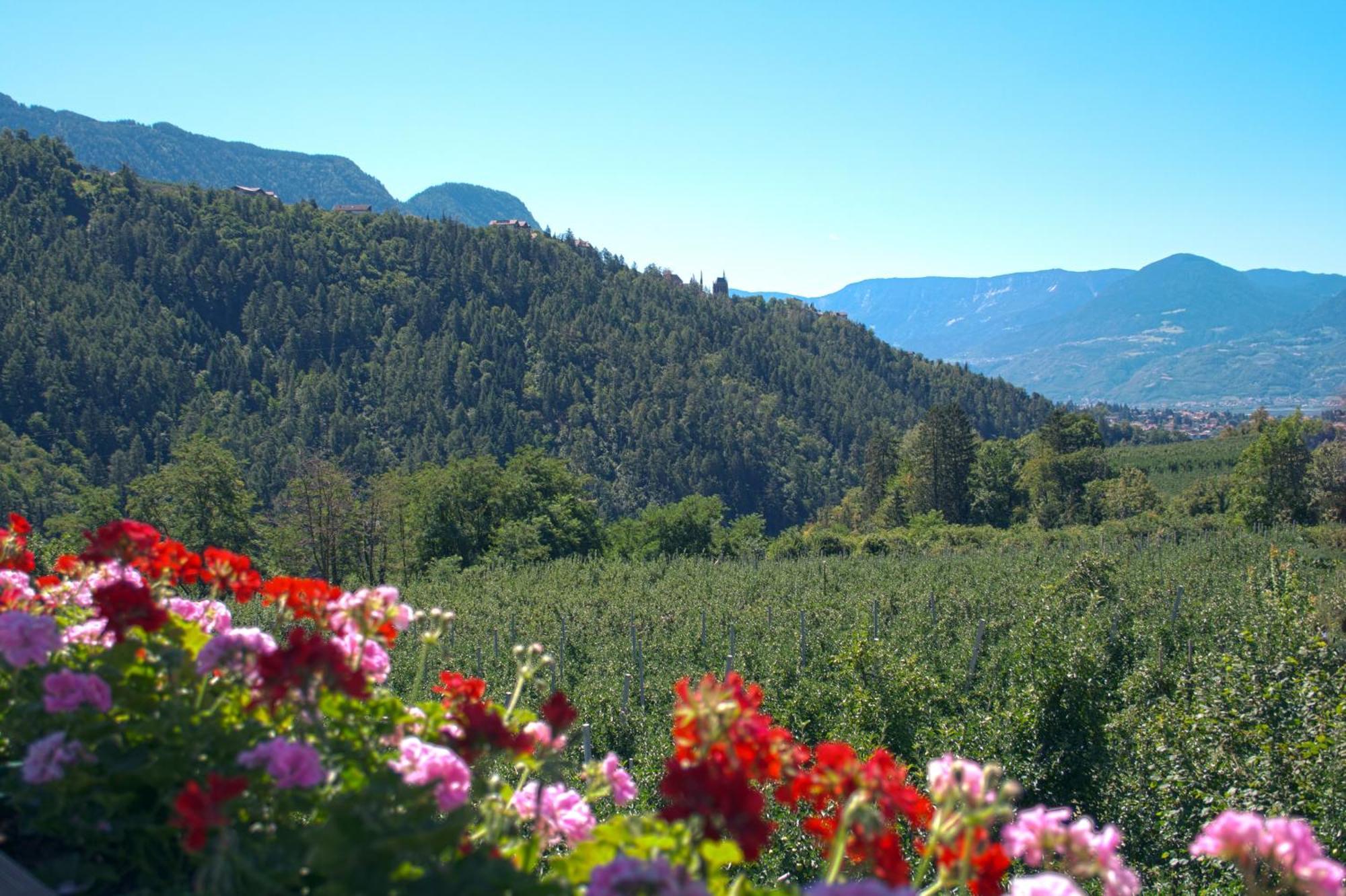 Pension Thalerhof Rifiano Exterior photo