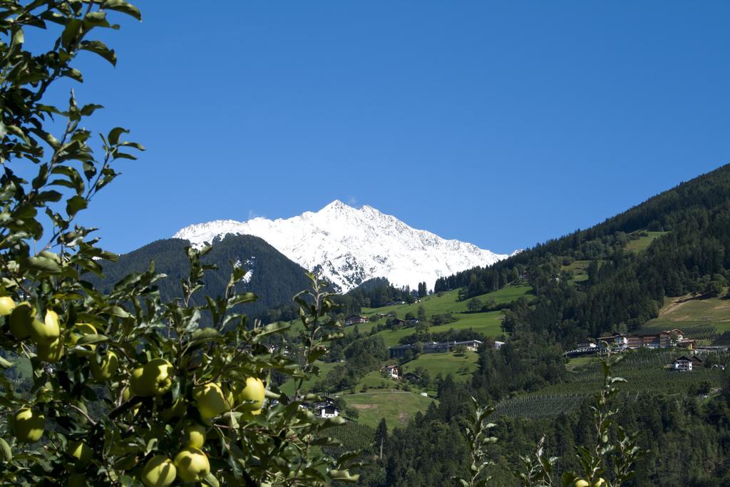 Pension Thalerhof Rifiano Exterior photo